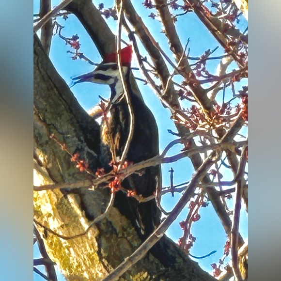 Meet your Posher, Ane - Picture 16 of 16